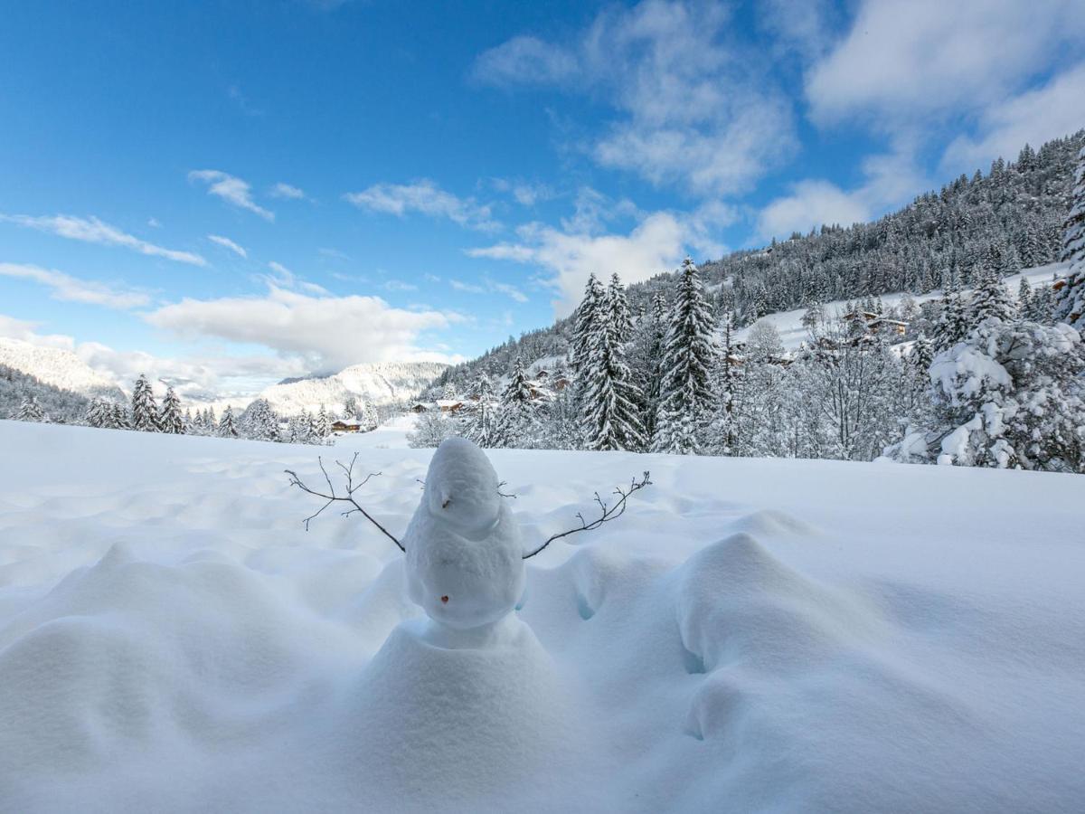 Appart 1 Ch - Proche Pistes - Parking Couvert - Fr-1-437-78 La Clusaz Εξωτερικό φωτογραφία